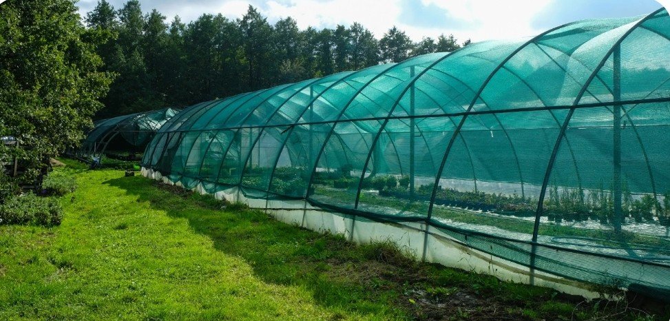 Instalasi dan penataan greenhouse