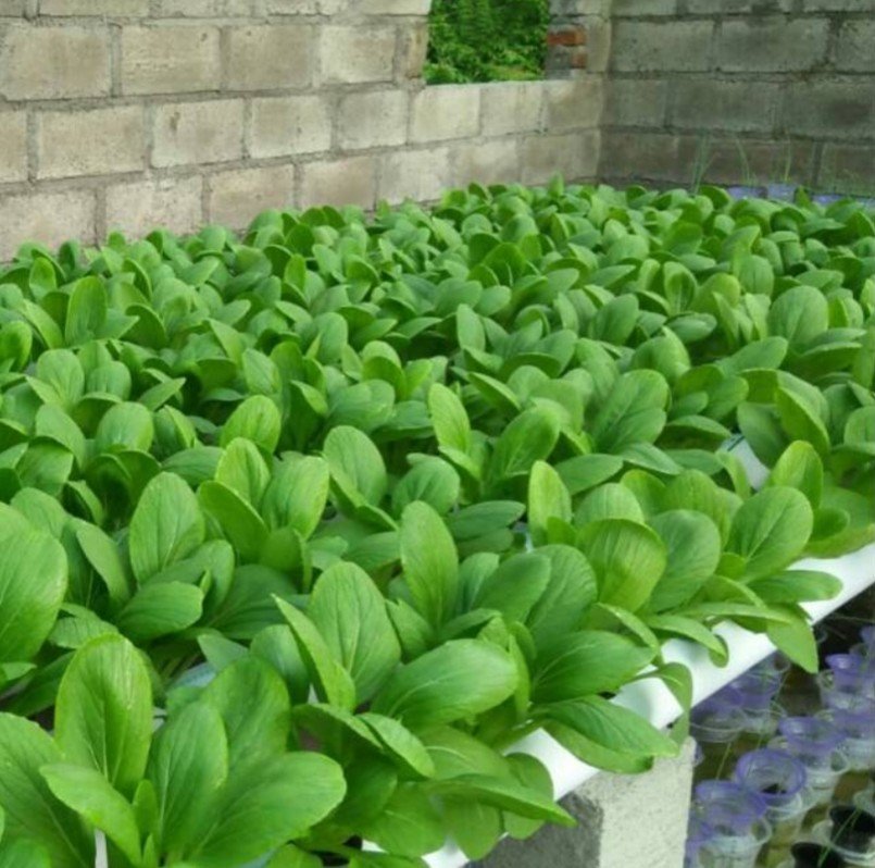 Finishing area
